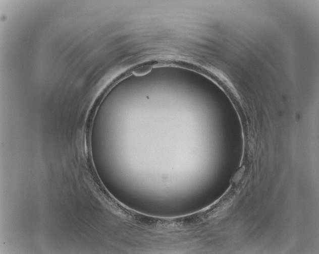 X0000063500887200601231434