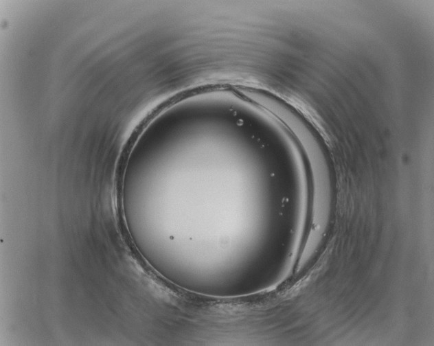 X0000063500888200601231434