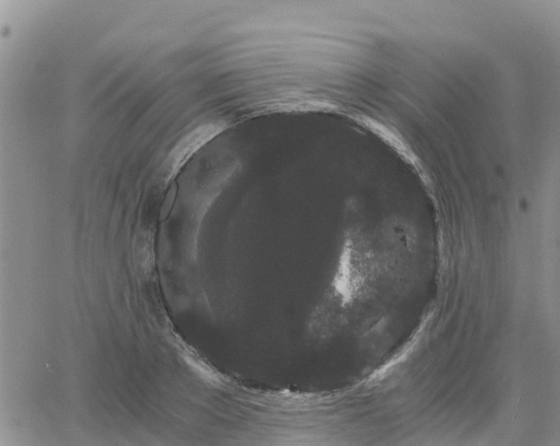 X0000063500889200601231434