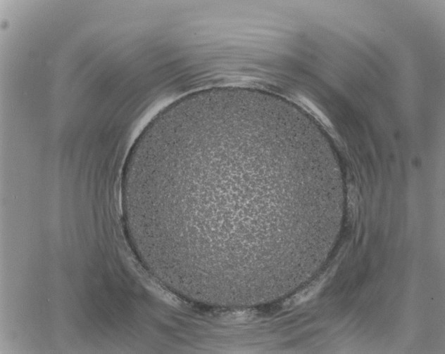 X0000063500891200601231434