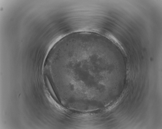 X0000063500892200601231434