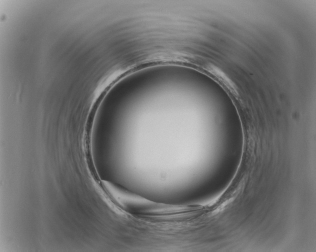 X0000063500893200601231434