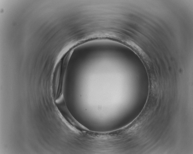 X0000063500894200601231434