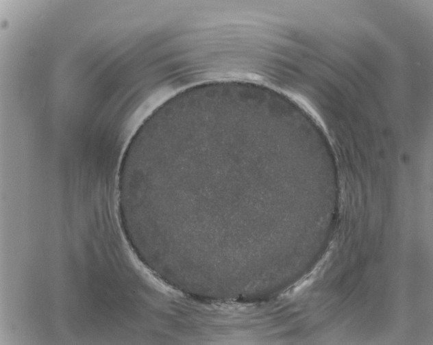 X0000063500895200601231434