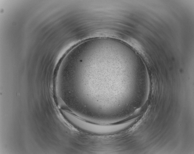 X0000063500896200601231434