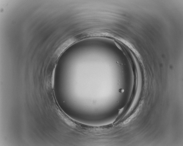 X0000063500897200601231434