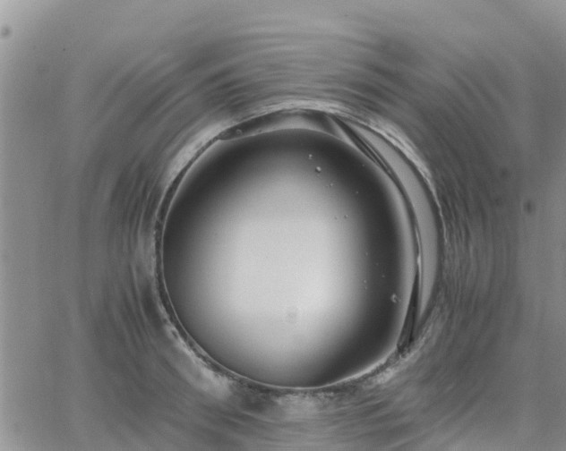 X0000063500898200601231434