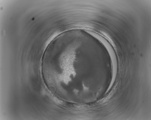 X0000063500899200601231434