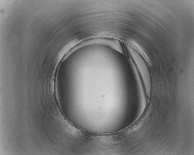 X0000063500900200601231434