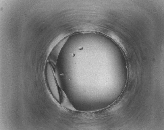 X0000063500901200601231434