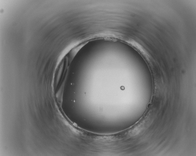 X0000063500902200601231434