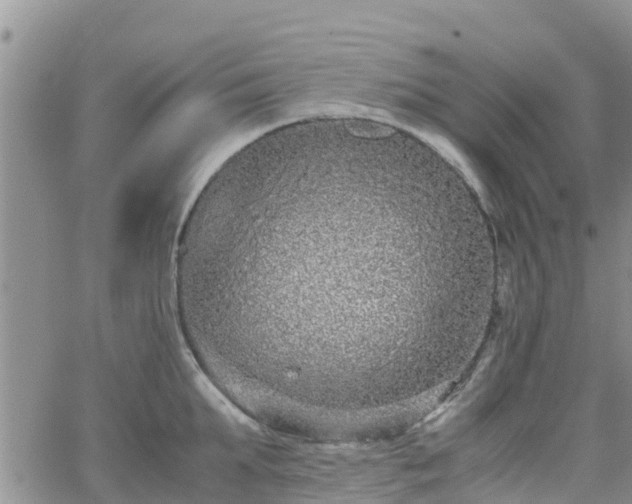 X0000063500903200601231434