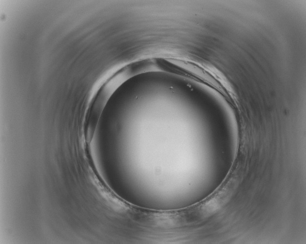 X0000063500904200601231434