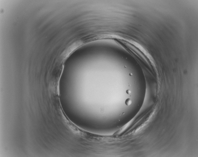 X0000063500905200601231434