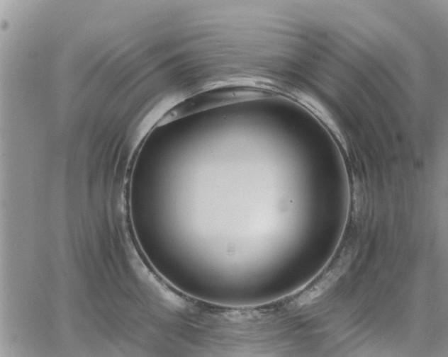 X0000063500906200601231434