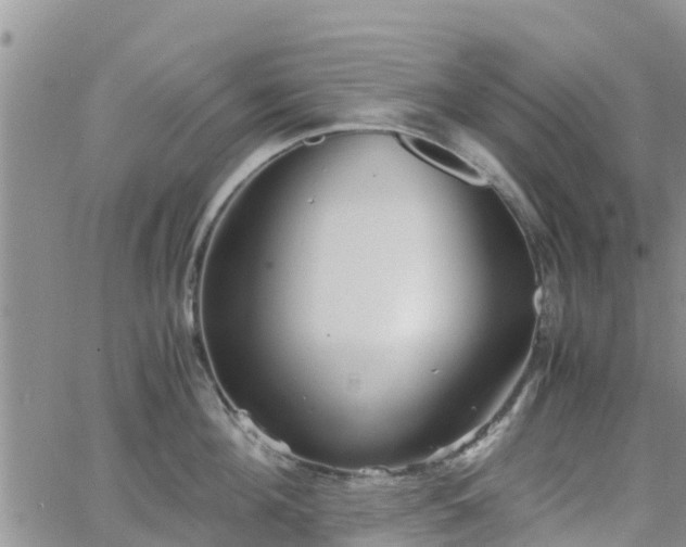 X0000063500908200601231434