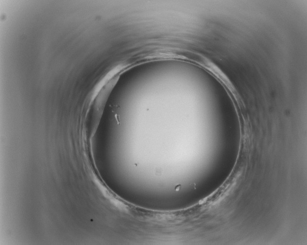 X0000063500909200601231434