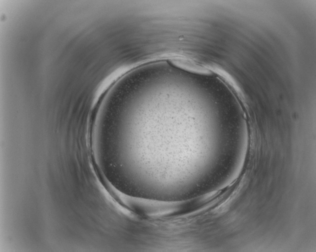 X0000063500910200601231434