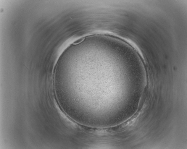 X0000063500911200601231434