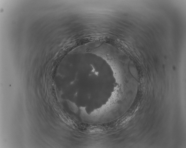 X0000063500913200601231433