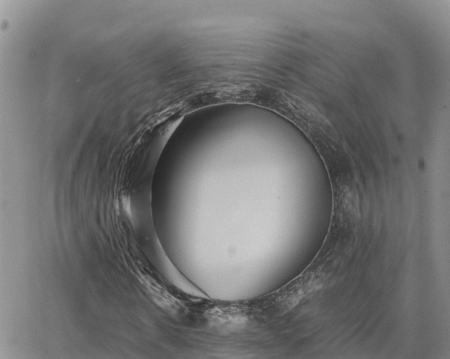 X0000063500914200601231433