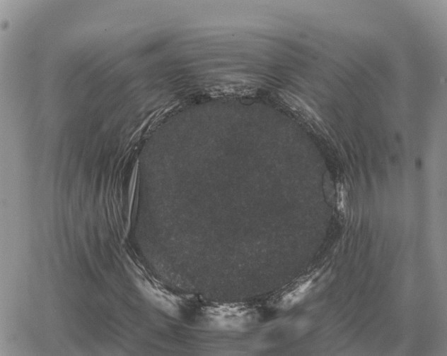 X0000063500915200601231433