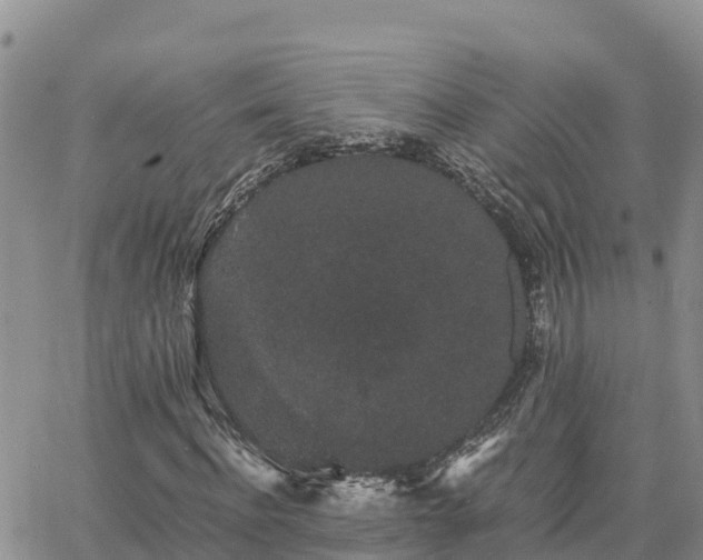 X0000063500916200601231433