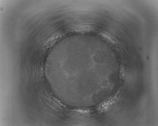 X0000063500917200601231433