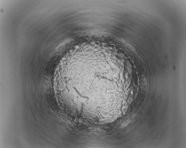 X0000063500918200601231433