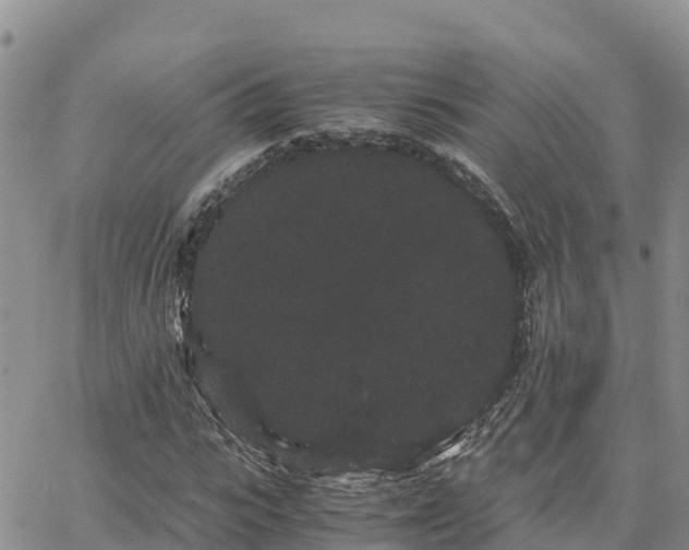 X0000063500919200601231433