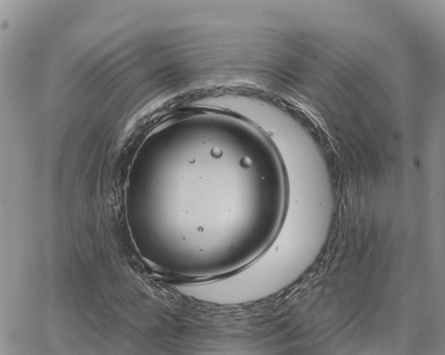 X0000063500920200601231433