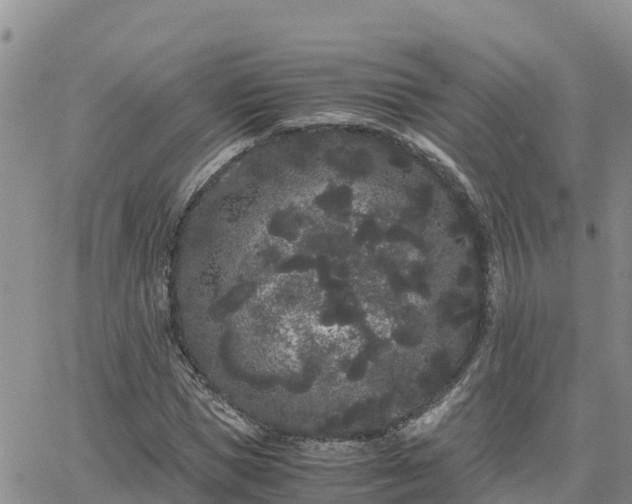 X0000063500921200601231433