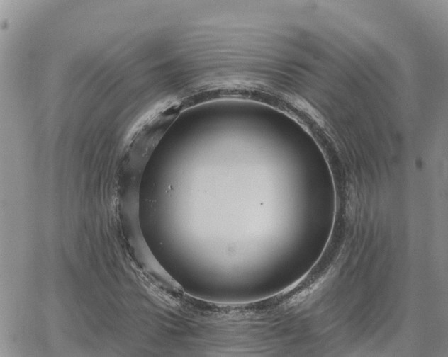 X0000063500922200601231433