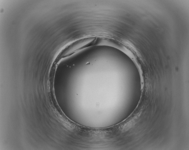 X0000063500924200601231433