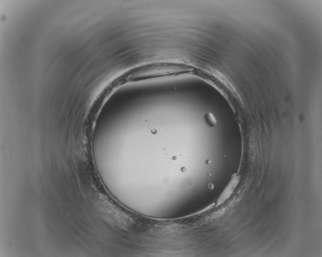 X0000063500926200601231433