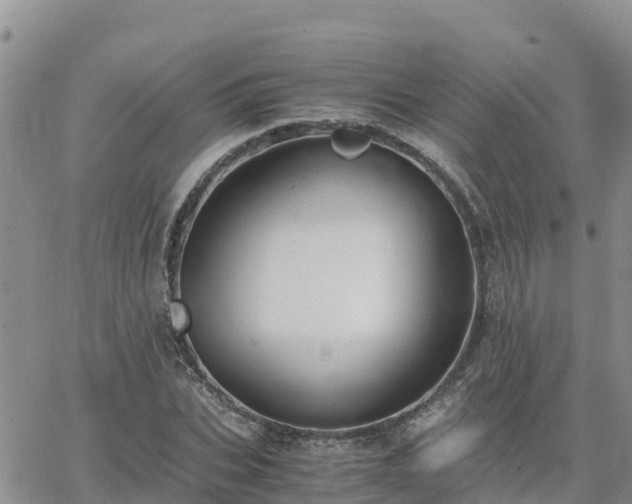 X0000063500927200601231433