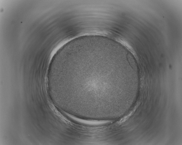 X0000063500928200601231433