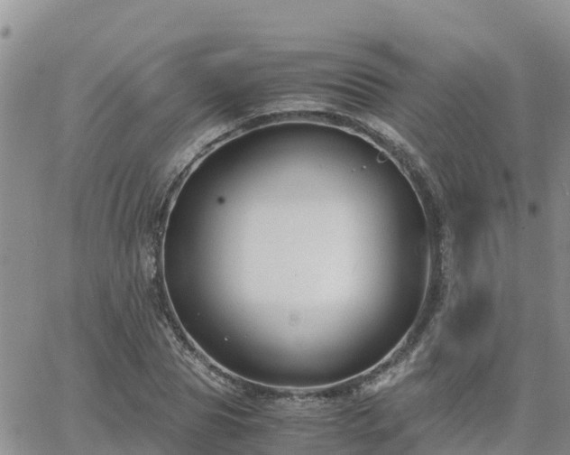 X0000063500929200601231433