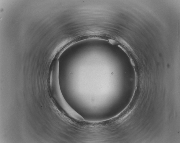 X0000063500930200601231433