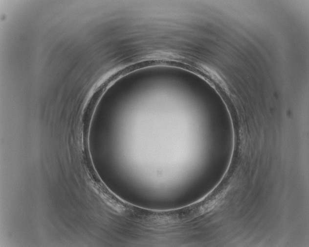 X0000063500931200601231433