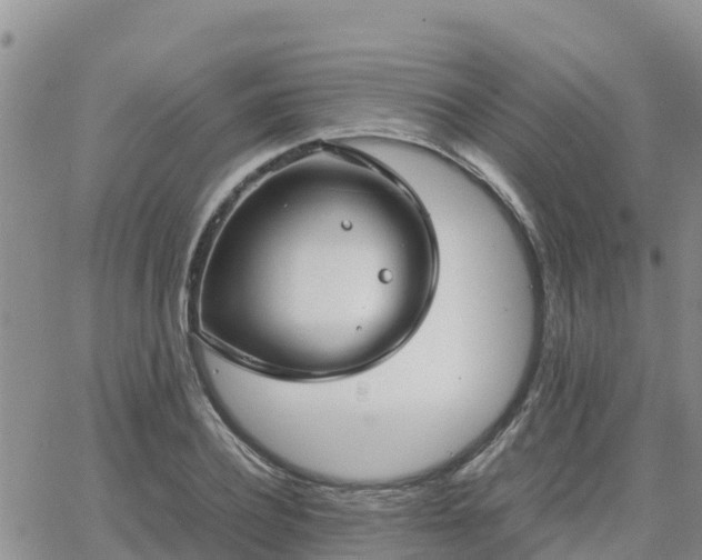 X0000063500932200601231433