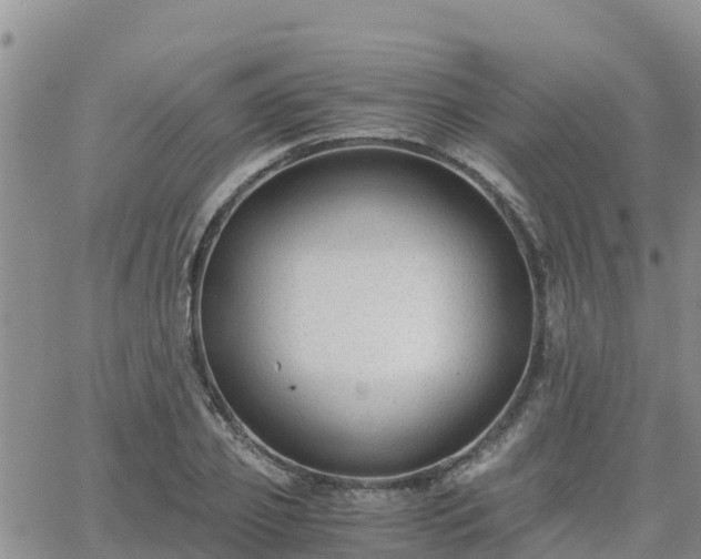 X0000063500933200601231433