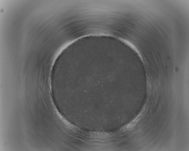 X0000063500935200601231433