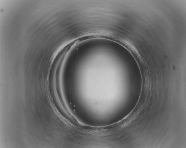 X0000063500936200601231433