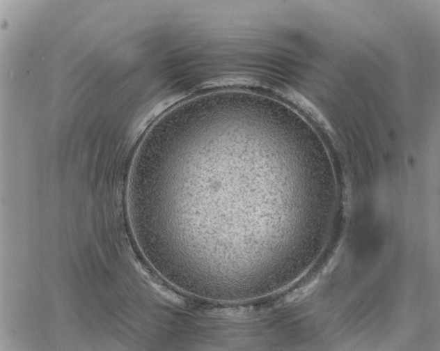 X0000063500937200601231433