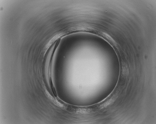 X0000063500938200601231433