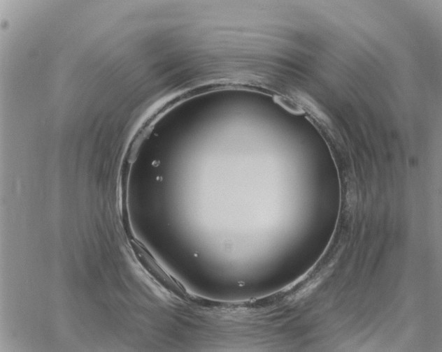 X0000063500940200601231433