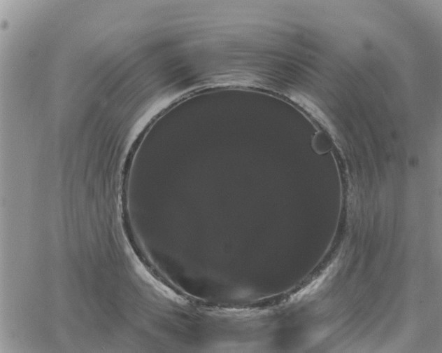 X0000063500941200601231433