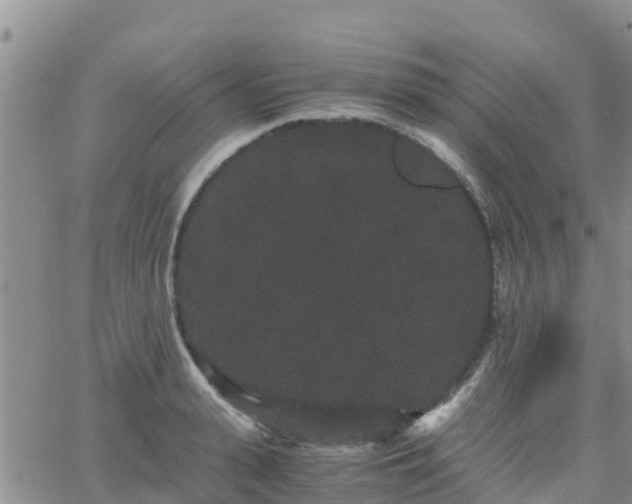 X0000063500943200601231433