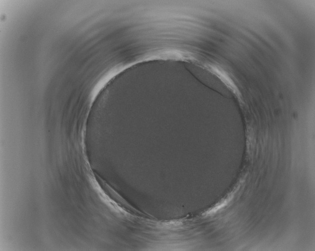 X0000063500944200601231434